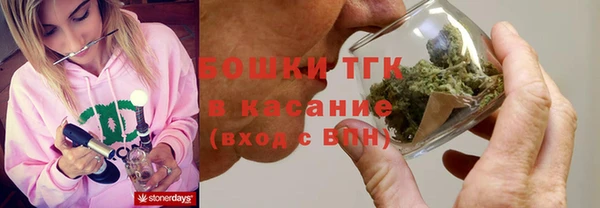 стаф Аркадак