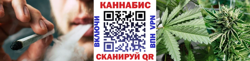 что такое Лосино-Петровский Канабис SATIVA & INDICA
